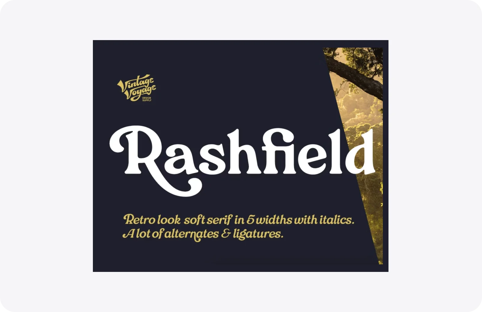 Rashfield gives any text a touch of nostalgic elegance