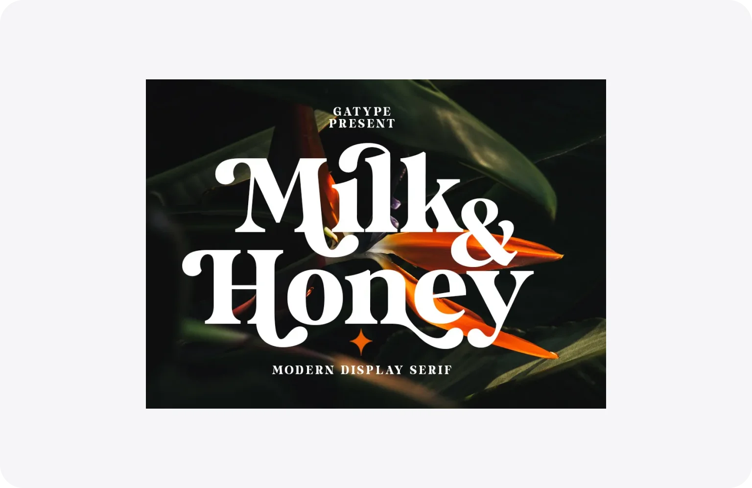 Milk and Honey provides a rich palette of alternate characters