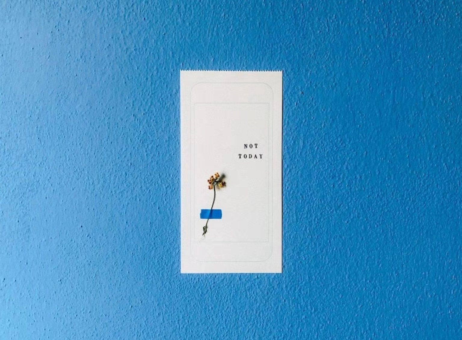 The contrast between the wall and the postcard