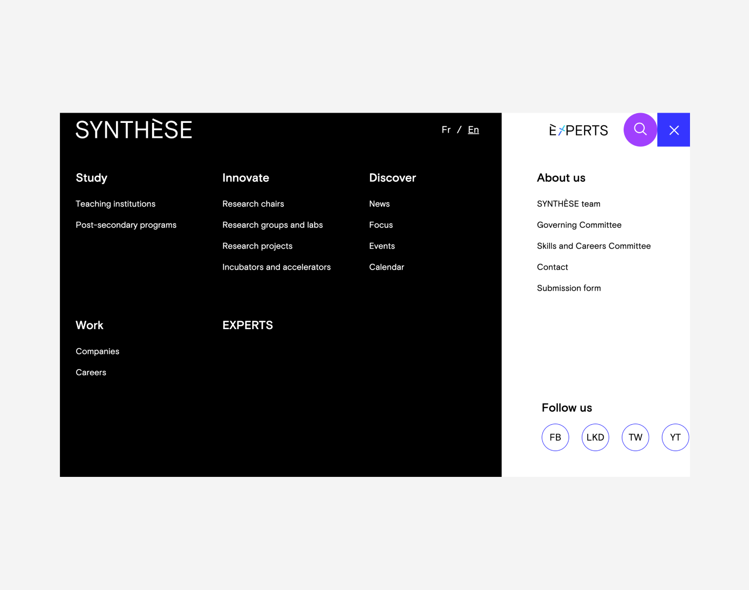 Synthese — an international journal for epistemology, methodology and philosophy of science