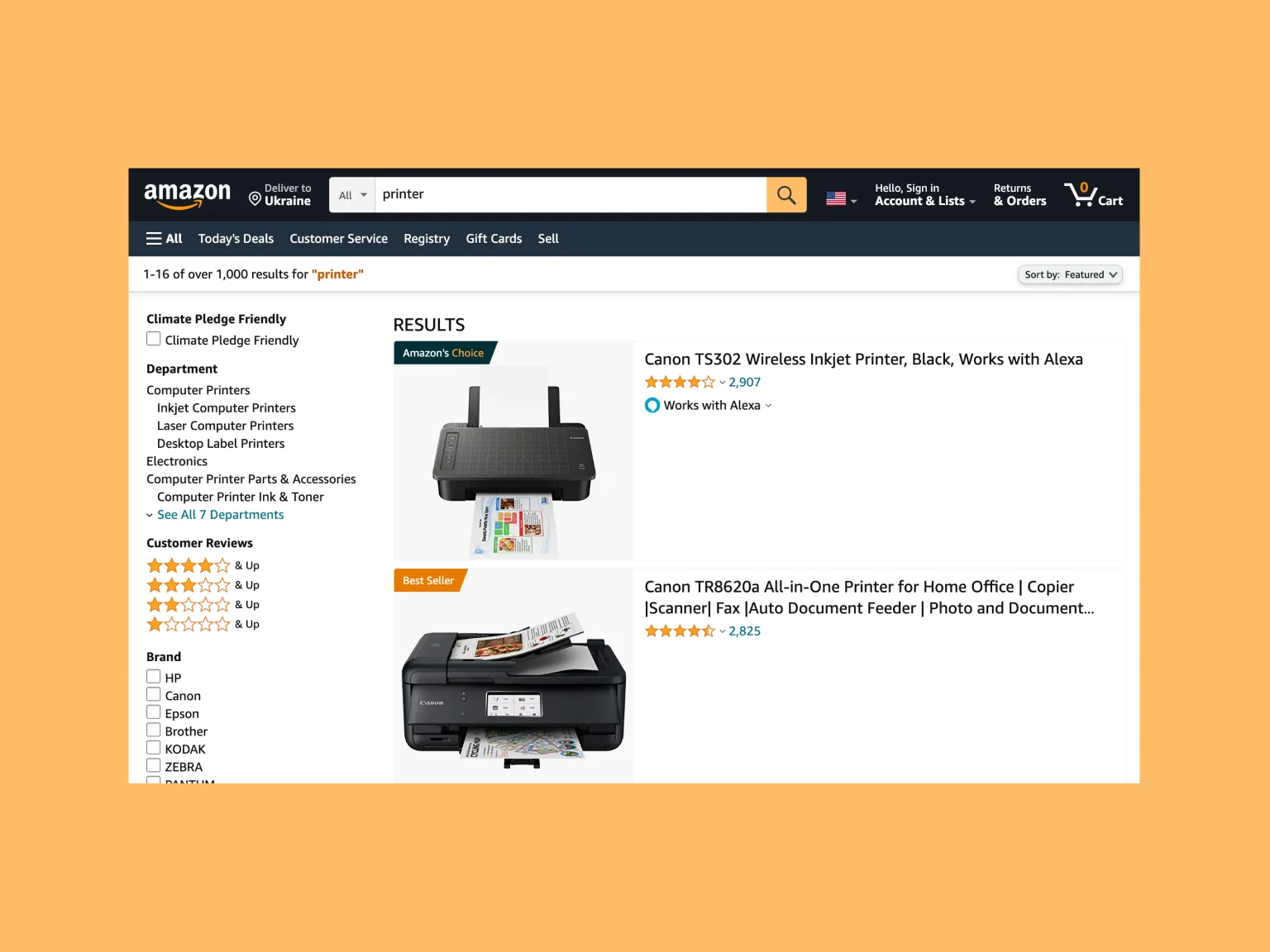 Example of Amazon’s search functionality