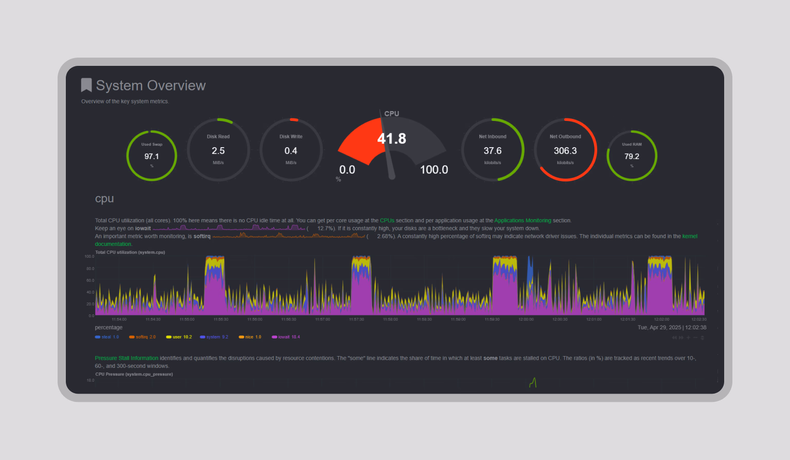 Detailed system metrics displayed via NetData integration