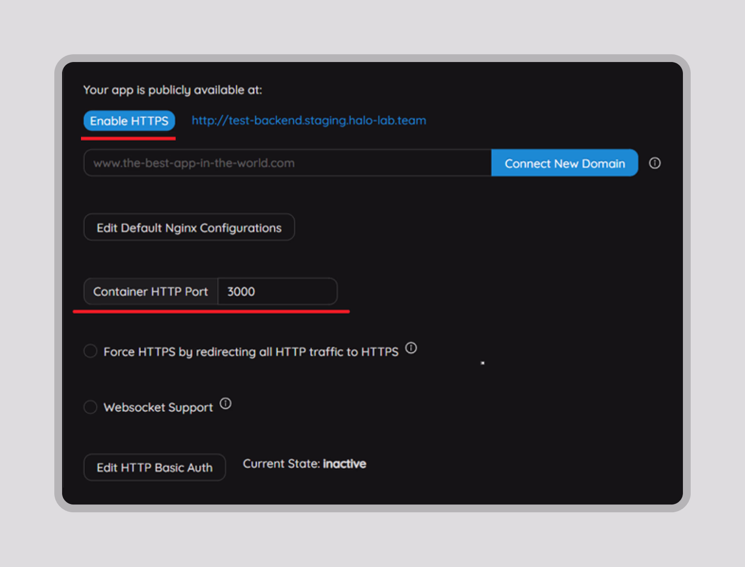 Container port set to 3000 with HTTPS enabled for the app