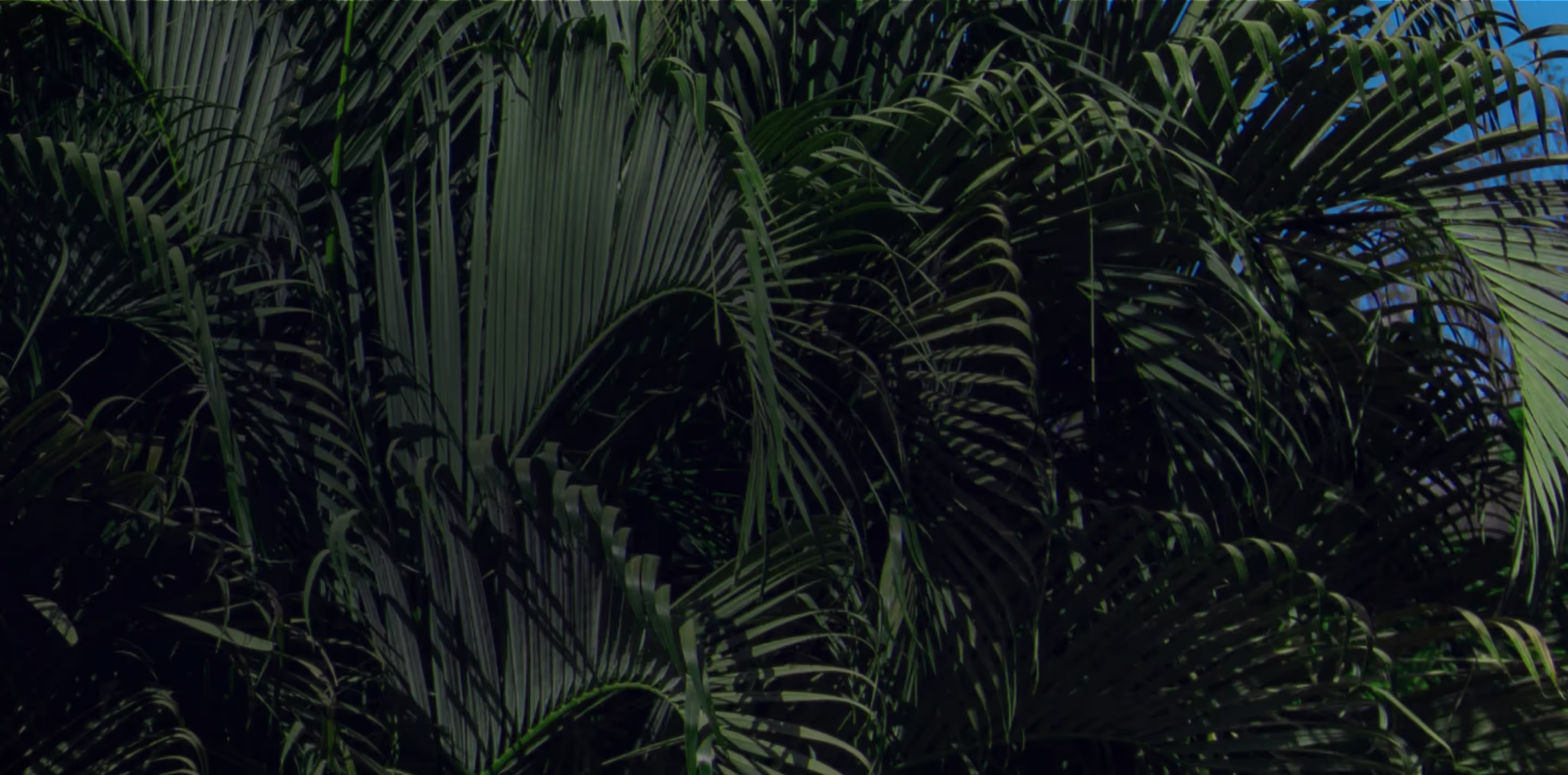 Wildbank