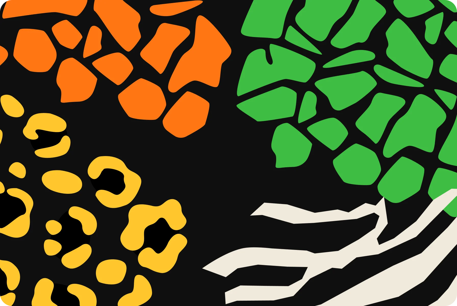 visual design with bold colors for the Wildbank card