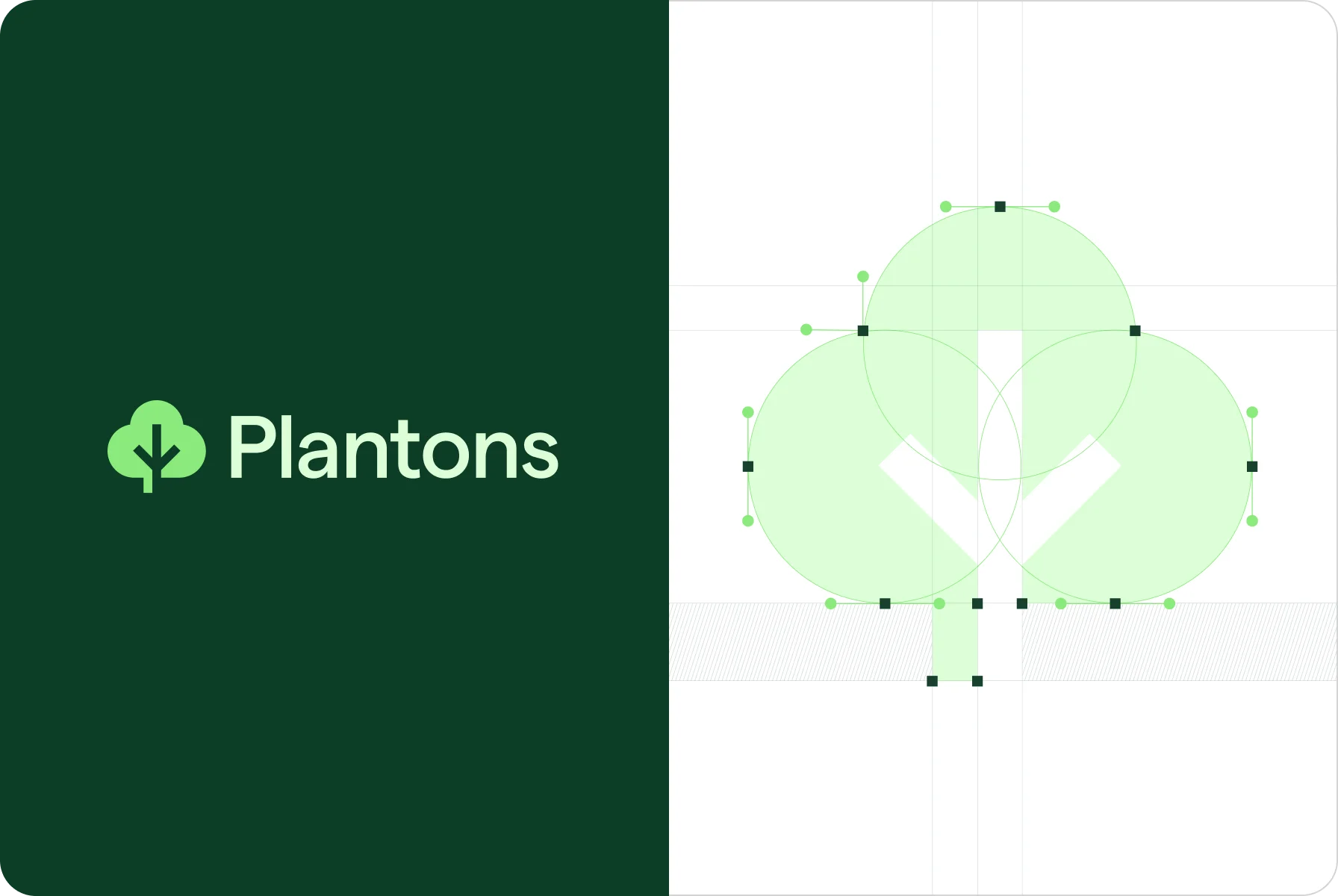 Plantons logo branding