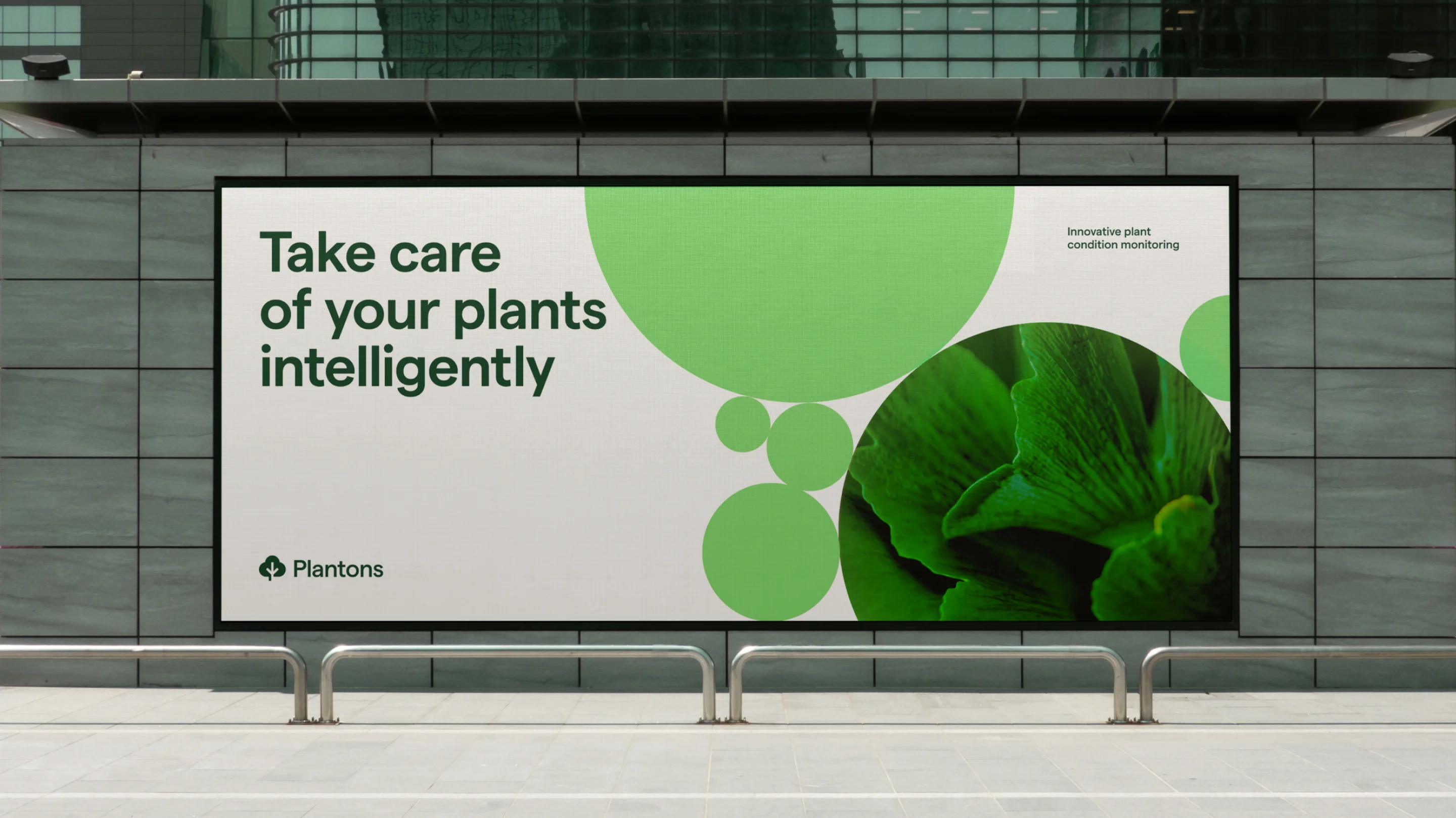 Plantons branding with clean lines and a limited color palette