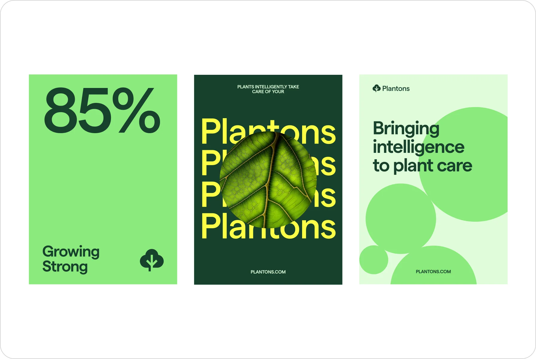 the peacefulness of the Fertil brand identity