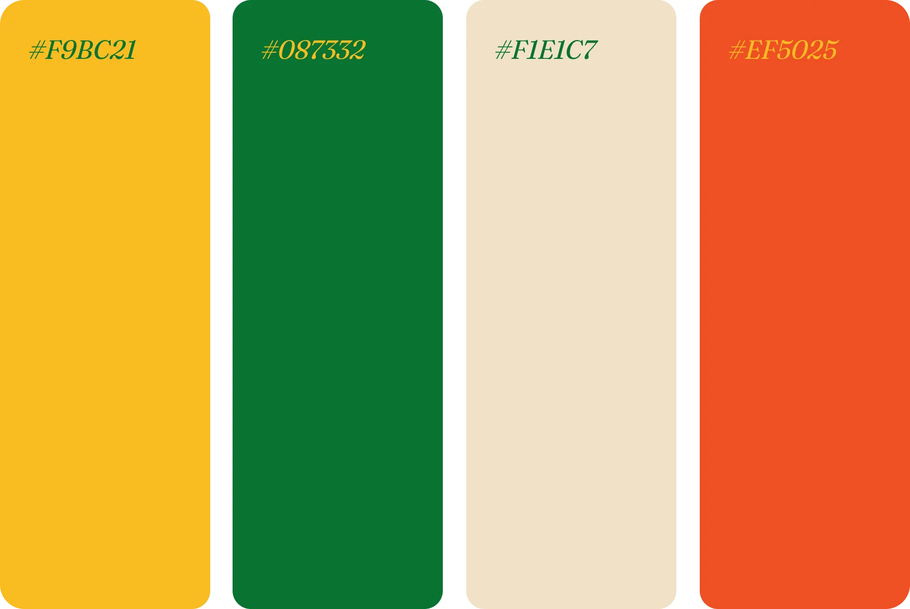 bold and natural color scheme