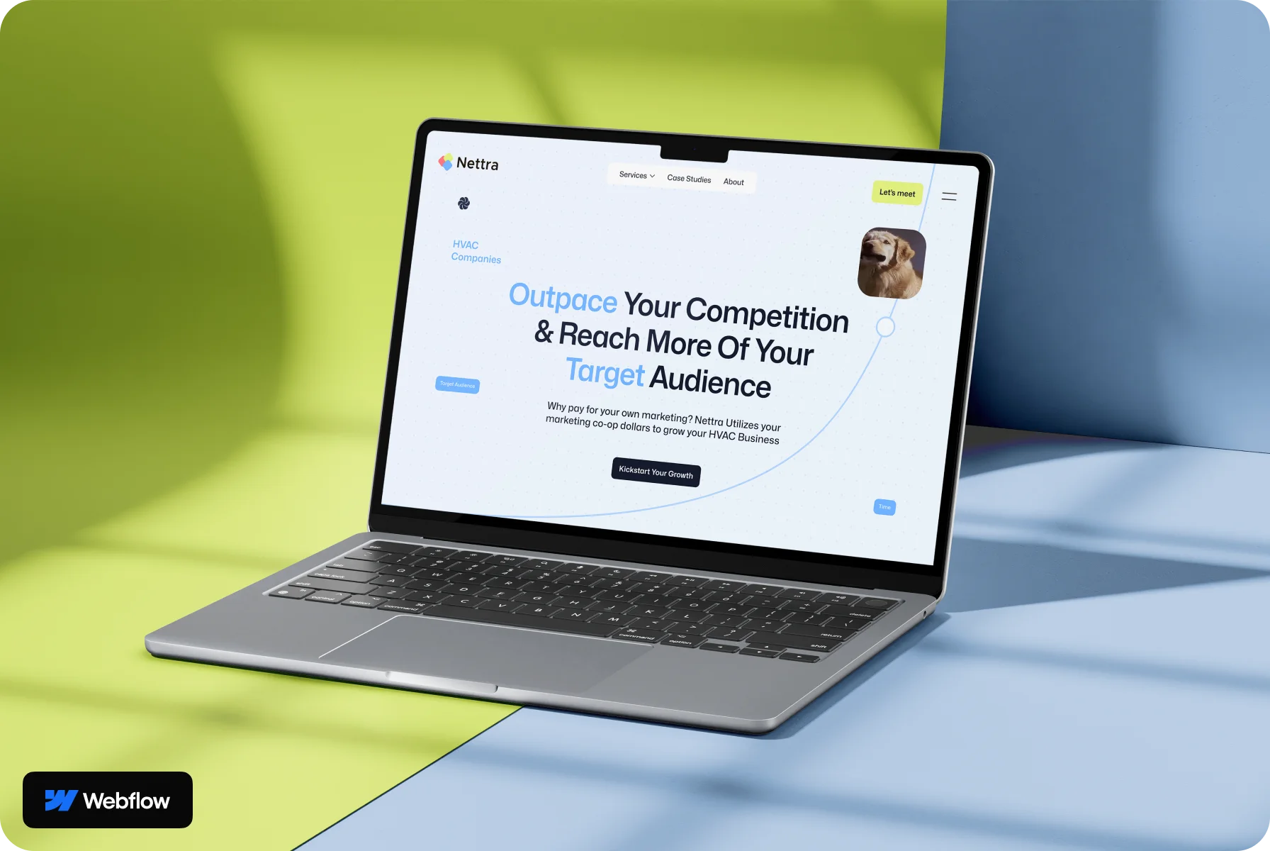 brand-attractive and responsible site with Halo Lab's web services