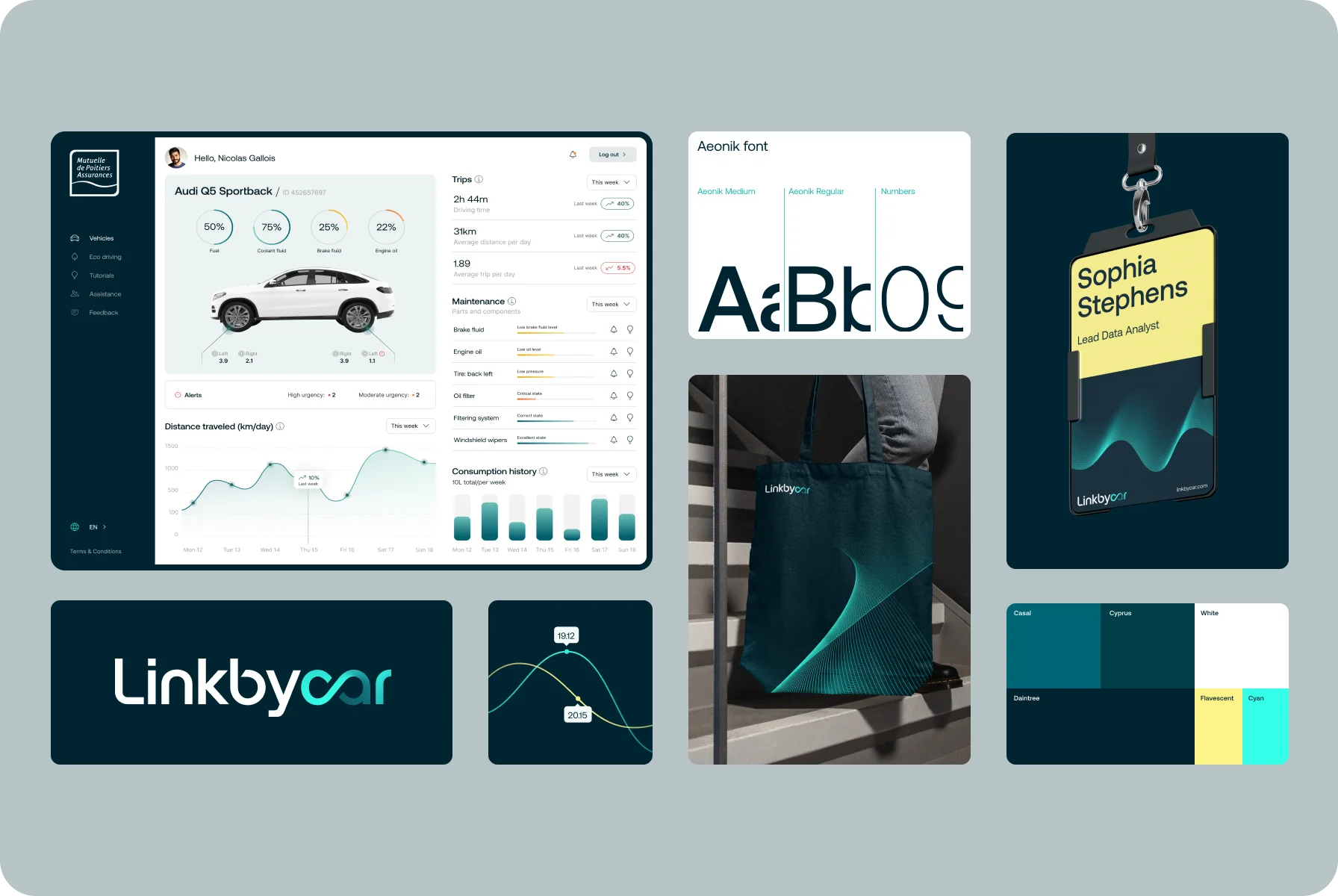 linear shapes and illumination as the brand’s identifiers