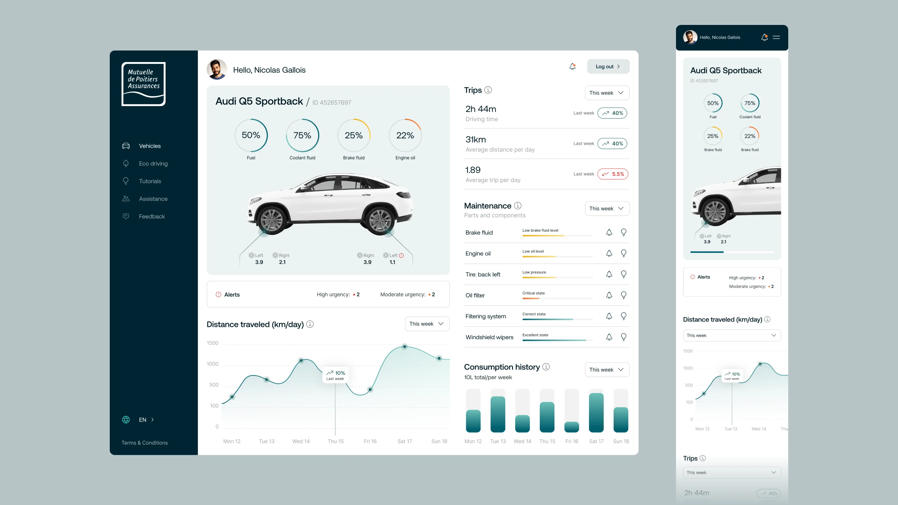 minimalism and contrast are key principles in web design concepts