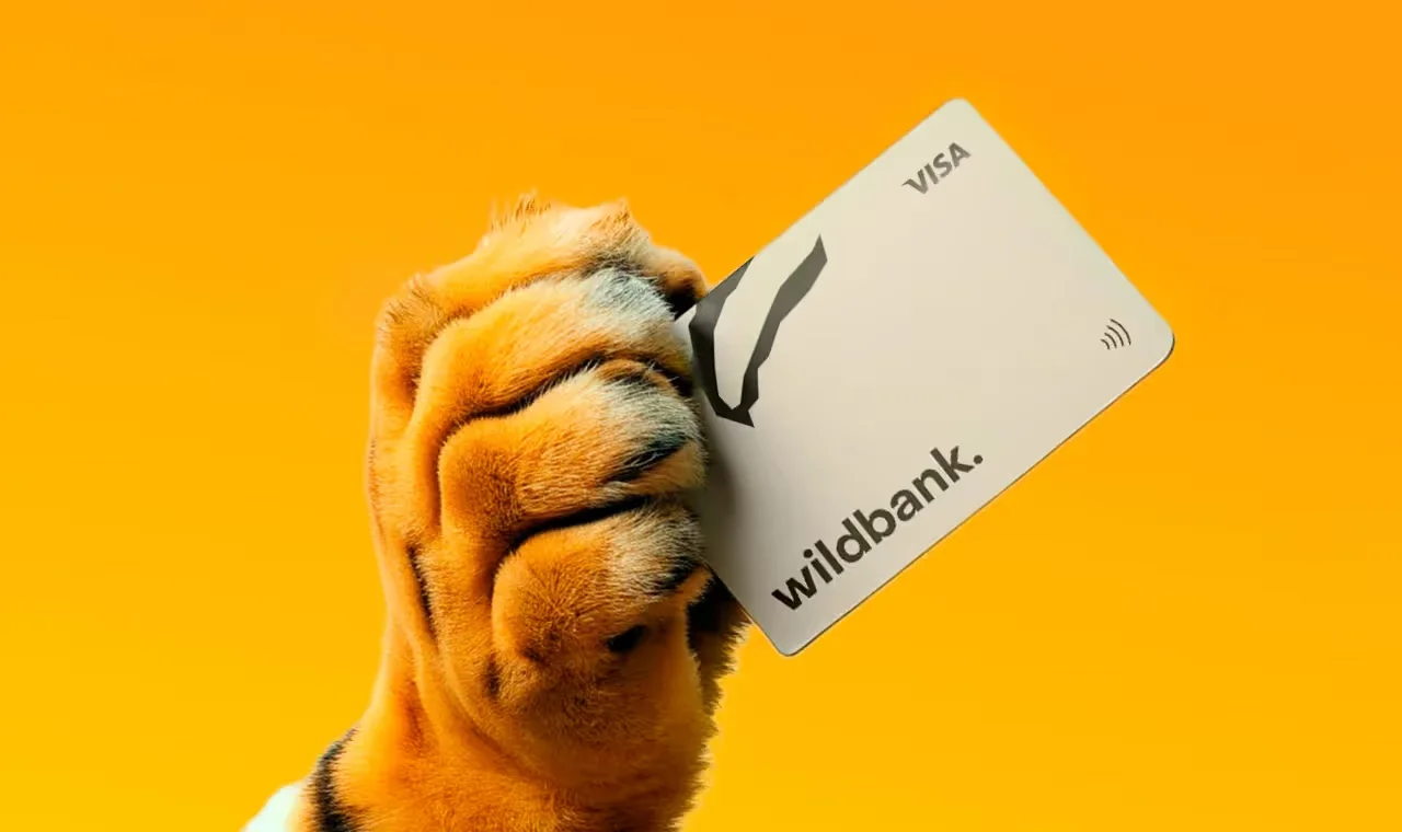 Crafting a brand identity for a financial company that banks on Earth’s future