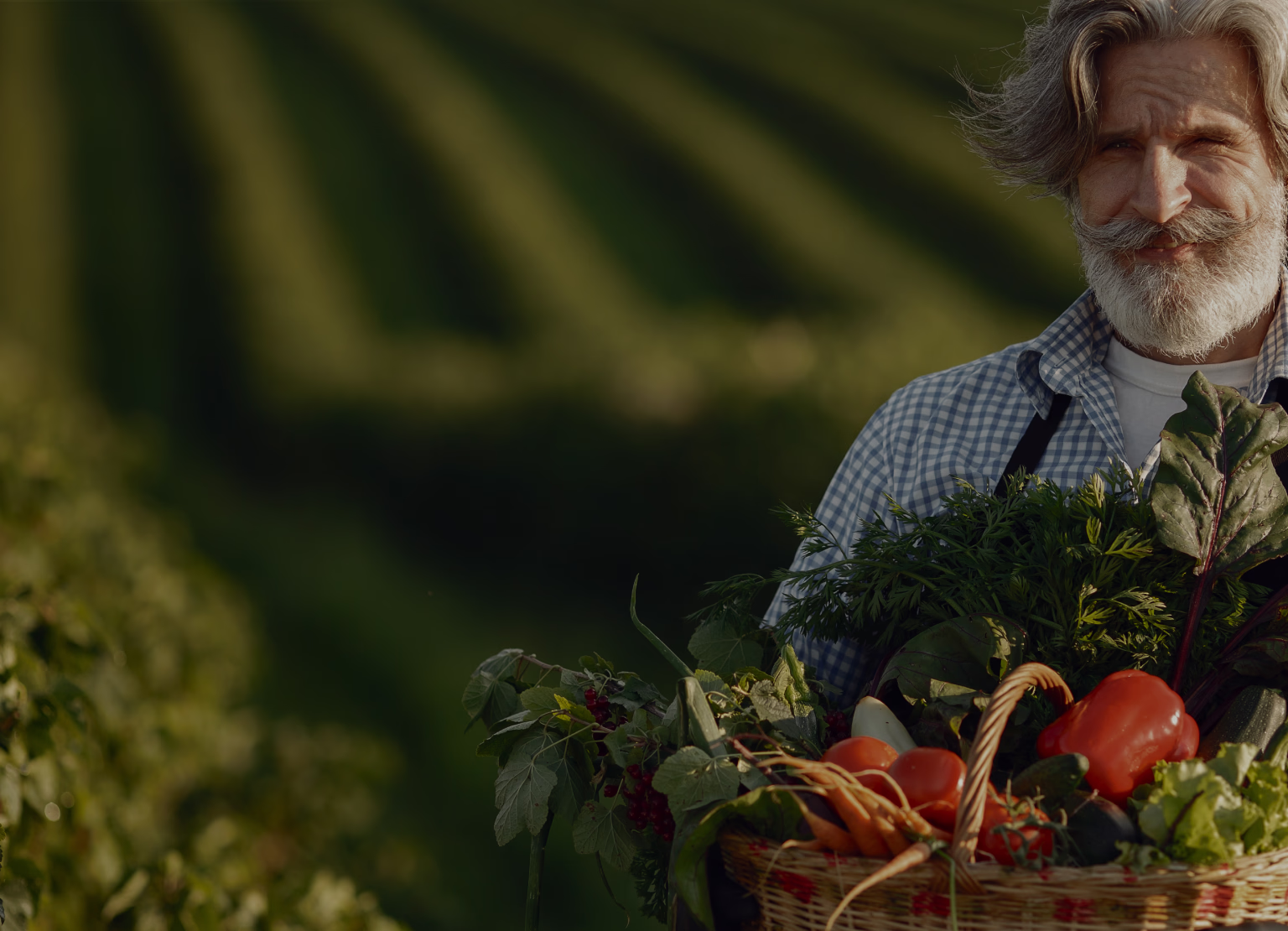 Branding for a farm produce delivery platform