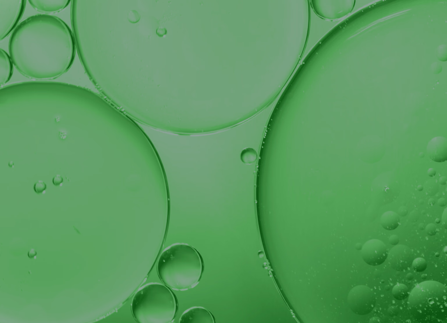 Branding platform for botany enthusiasts and plant lovers