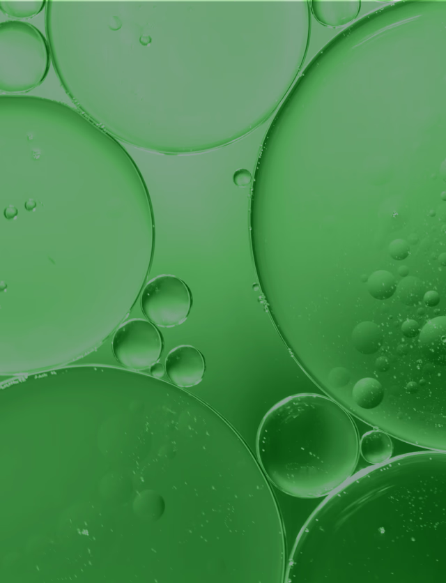 Branding platform for botany enthusiasts and plant lovers