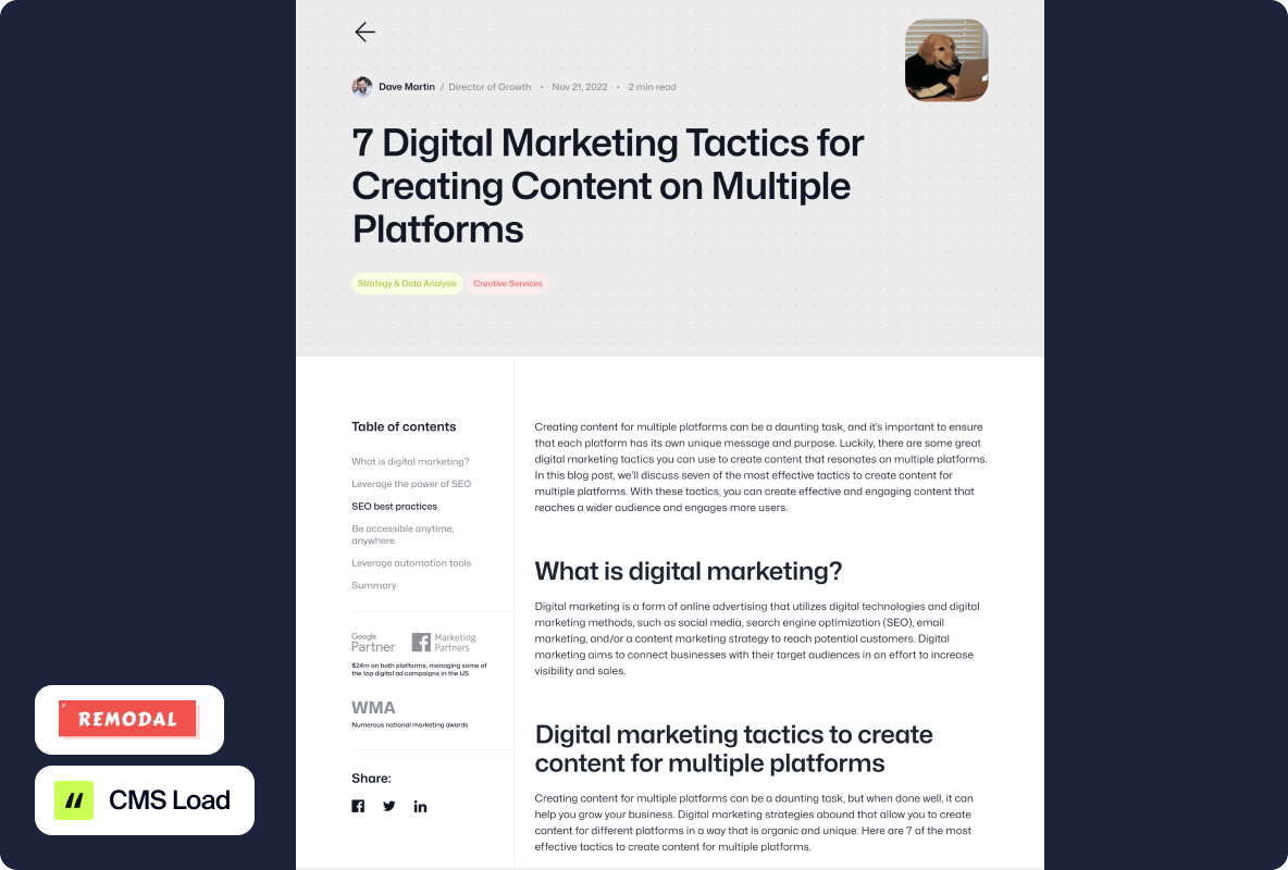 Nettra Media — Animating the digital dreams for the Nettra Media website brand identity by Halo Lab - Visual 18