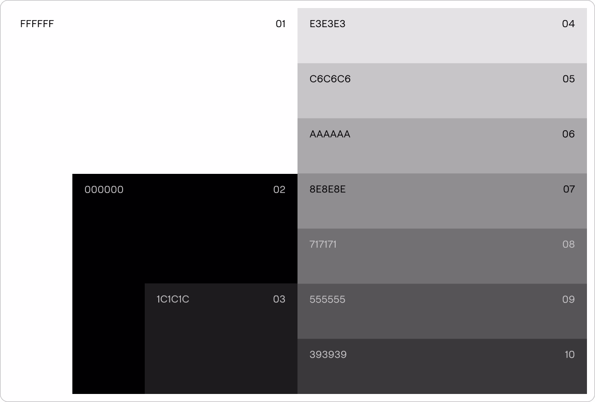 reliable color palette in brand design by Halo Lab