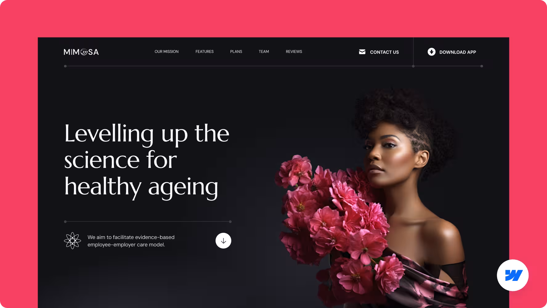 Halo Lab’s branding, web design and web development services for Mimosa healthy ageing landing page