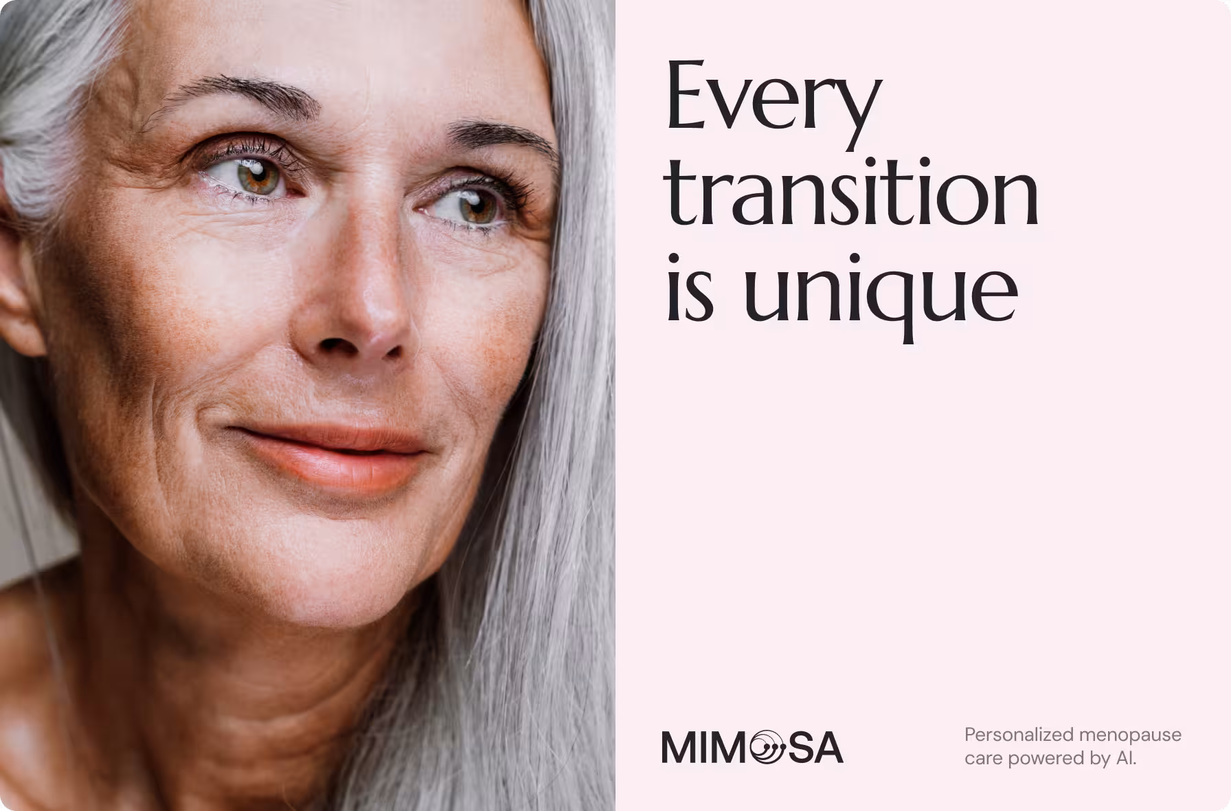 Mimosa gallery image