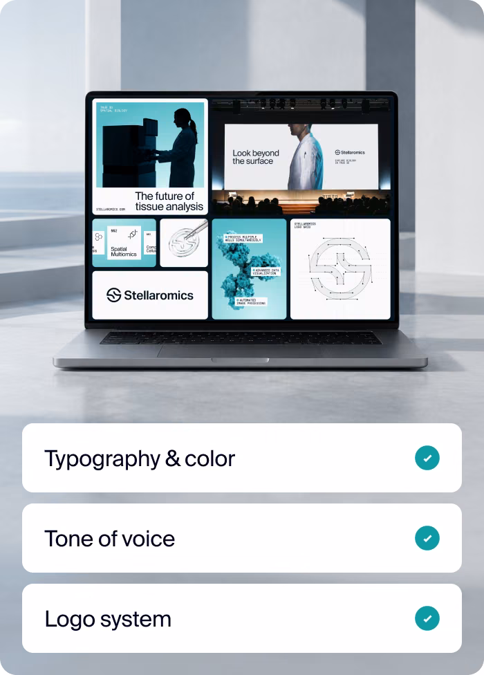 Healthcare brand identity on a laptop